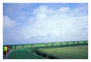 Line of Cyclists in a Ijsselmeer Polder