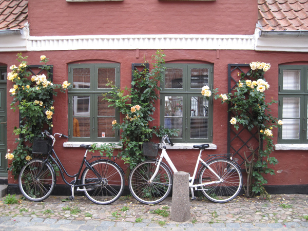 fødselsdag amatør baggrund Cycling Schleswig-Holstein and Denmark