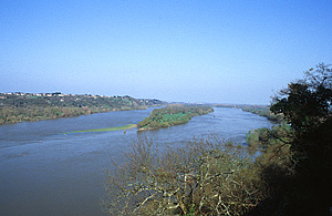 Loire near Angers