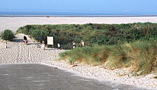 Beach in Zeeland, Netherlands