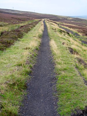 Bike trail through heather in Pennines