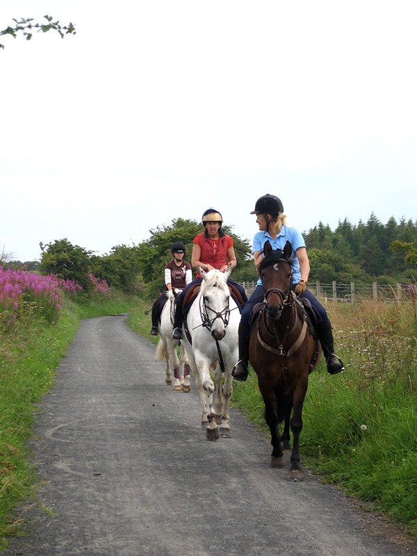 Horseback riders near Consett