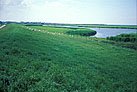 Ijsselmeer Dike near Hinderloopen